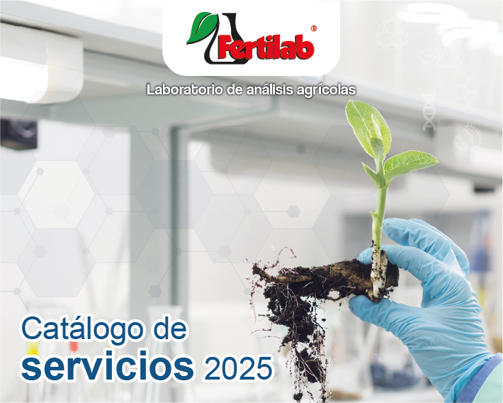 Catálogo de Servicios